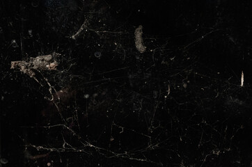 Close-up, old spider web in the window on a black background.