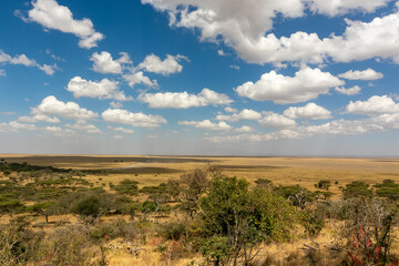 タンザニア・セレンゲティ国立公園入り口の丘から眺める、ンゴロンゴロ方面の平原と地平線・青空