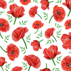 Watercolor pattern with wild red poppies on a white background. Surface design for interior decoration, textile printing, prints, packaging, cover and more.