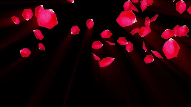 Rose petals falling from top to bottom in rays, computer generated. Rain of rose petals. 3d rendering of romantic background