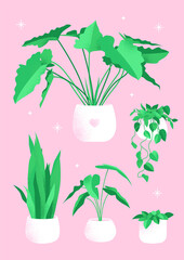 Retro poster with home plants. Creates comfort and decorates the interior. Vector illustration with the addition of noise in vintage style.