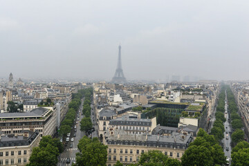 Naklejka premium Walking in Paris.