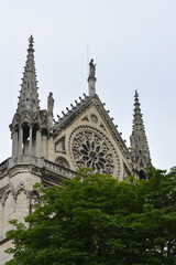 Fototapeta na wymiar Notre-Dame Cathedral in Paris.