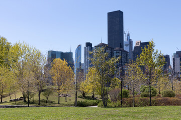 Fototapeta na wymiar Green Trees and Grass at a Park on Roosevelt Island during Spring in New York City with the Midtown Manhattan Skyline