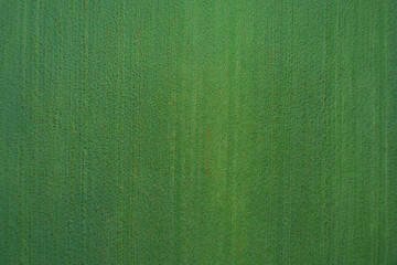 Green grass top view, drone view