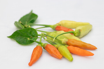 Green and red chilies with white background. Chillies, ingridient of Thai or asian food.