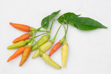 Green and red chilies with white background. Chillies, ingridient of Thai or asian food.