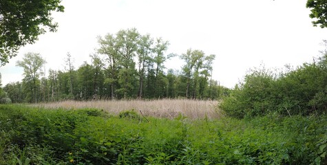 panoramic Environment freshness at village with clouds and natural elements around