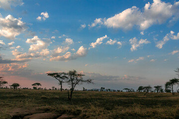 Fototapeta na wymiar タンザニア・セレンゲティ国立公園でのサファリ中に見た、夕方の空と雲
