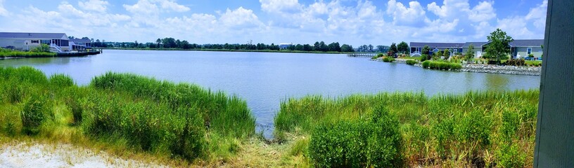 landscape with lake