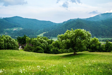 Panoramic view in Gura Humorului, Suceava county, Bucovina, Romania.