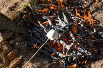 toasted marshmallows 