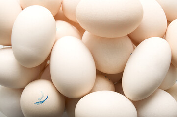 A lot of marked offwhite ovos on the photo.