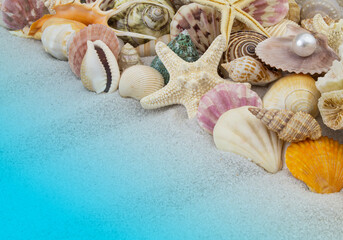 Fototapeta na wymiar Seashells and starfishes on sand background
