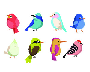 illustration of cute bird  animal vector pet wildlife