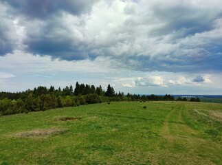 rural road on top of a mountain through a clearing with green grass near the forest against a beautiful sky with storm clouds