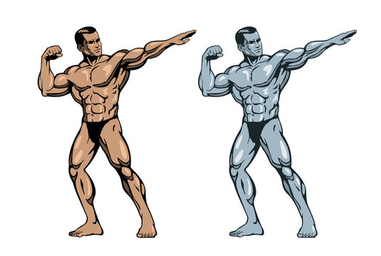 Muscle Gym Bodybuilding Vector Art PNG Images | Free Download On Pngtree