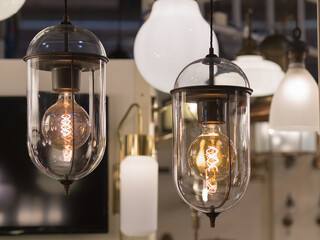 Two Bulbs Hanging: Vintage Electric Light Bulb with Incandescent Filament
