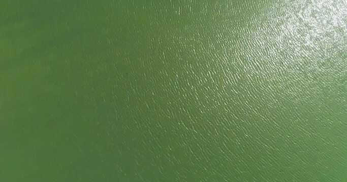 The flight of the camera from a bird's flight over a green pond in which the rays of the sun are reflected