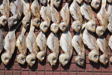 Dry fish displayed for sell