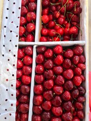Juicy delicious cherries on the market macro