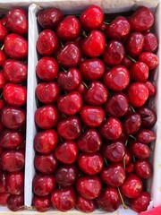 Juicy delicious cherries on the market macro