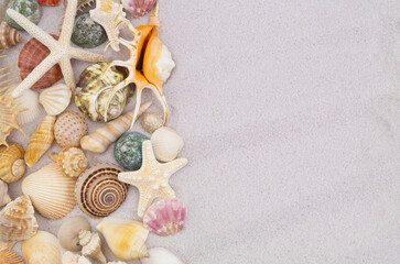 Seashells and starfishes on white sand