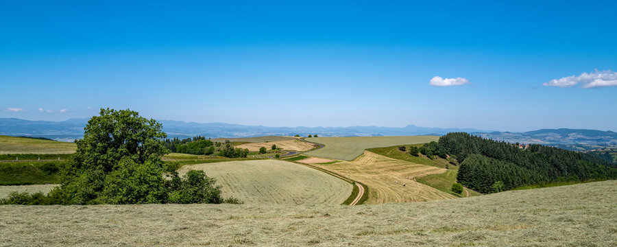 vue panoramique sur les champs au printemps