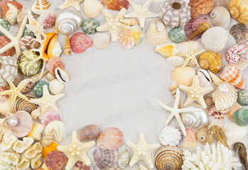 Fototapeta na wymiar Seashells, coral, sea urchins and starfishes on white sand background with copy space
