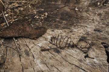 Rusty frames of fishing gear on an old tree cut