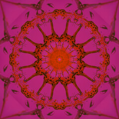 Colored background with flowers, effect of a kaleidoscope.