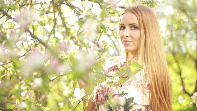 Video clip, blur effect and light fler, a young blonde woman with long hair in a long dress walks in a blossoming apple orchard on a sunny day in spring.