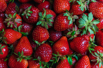Top background view on lots of strawberries macro horisontal, directly above