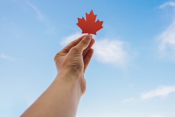 Red maple leaf in hand against the sky place for text