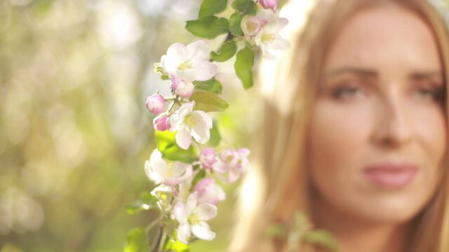 Video clip, blur effect and light fler, a young blonde woman with long hair in a long dress walks in a blossoming apple orchard on a sunny day in spring.
