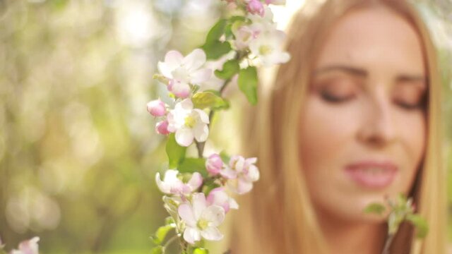 Video clip, blur effect and light fler, a young blonde woman with long hair in a long dress walks in a blossoming apple orchard on a sunny day in spring.