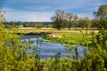 Dolina Górnej Narwi. Rzeka Narew. Natura 2000, Podlasie, Polska © podlaski49