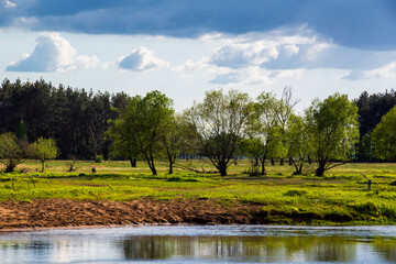 Dolina Górnej Narwi. Rzeka Narew. Natura 2000, Podlasie, Polska © podlaski49