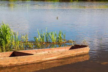 Dolina Górnej Narwi. Rzeka Narew. Natura 2000, Podlasie, Polska © podlaski49