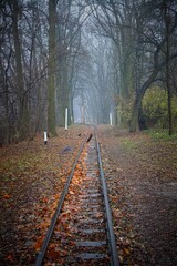 Fototapeta premium Abandoned railway track in the autumn forest