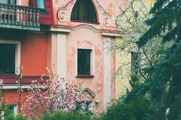 Old house and flowering trees in spring