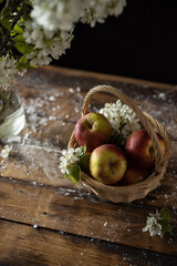 fresh red apples and blossom branches in basket on dark wooden background