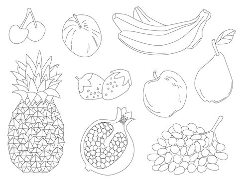 healthy collection of hand drawn outlined fruits. pear, apple, c