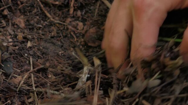a man buries a lump in the ground