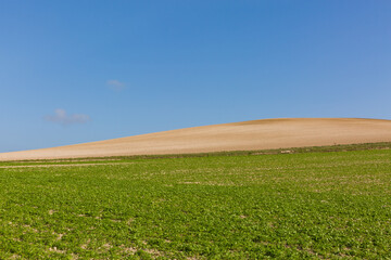 Paysage de campagne sur la Côte d'opale, Wissant, France. / Countryside landscape on the Opal Coast, Wissant, France.