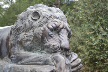 Fototapeta na wymiar escultura leon