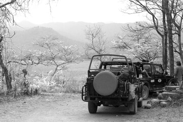 JIM CORBETT, INDIA-MAY 13: Tourists parks the safari vechile in the watch tower area at Shambhar...