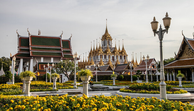 Wat Ratchanatdaram Woravihara (Loha Prasat) with yellow flowers during coronation celebrations of His Majesty King Maha Vajiralongkorn Bodindradebayavarangkun (King Rama X), Bangkok, Thailand