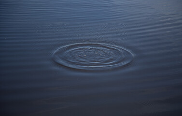 ripples in water