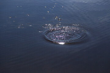 water splash in water